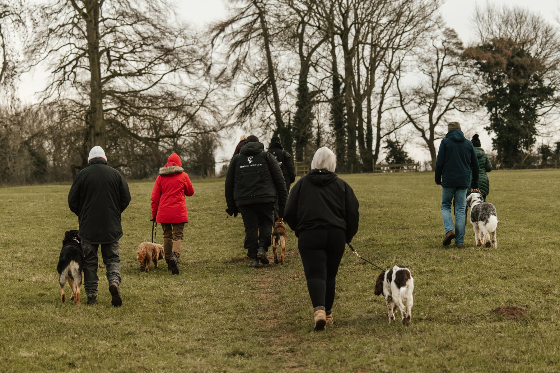 Group pet dog training session in East Yorkshire.