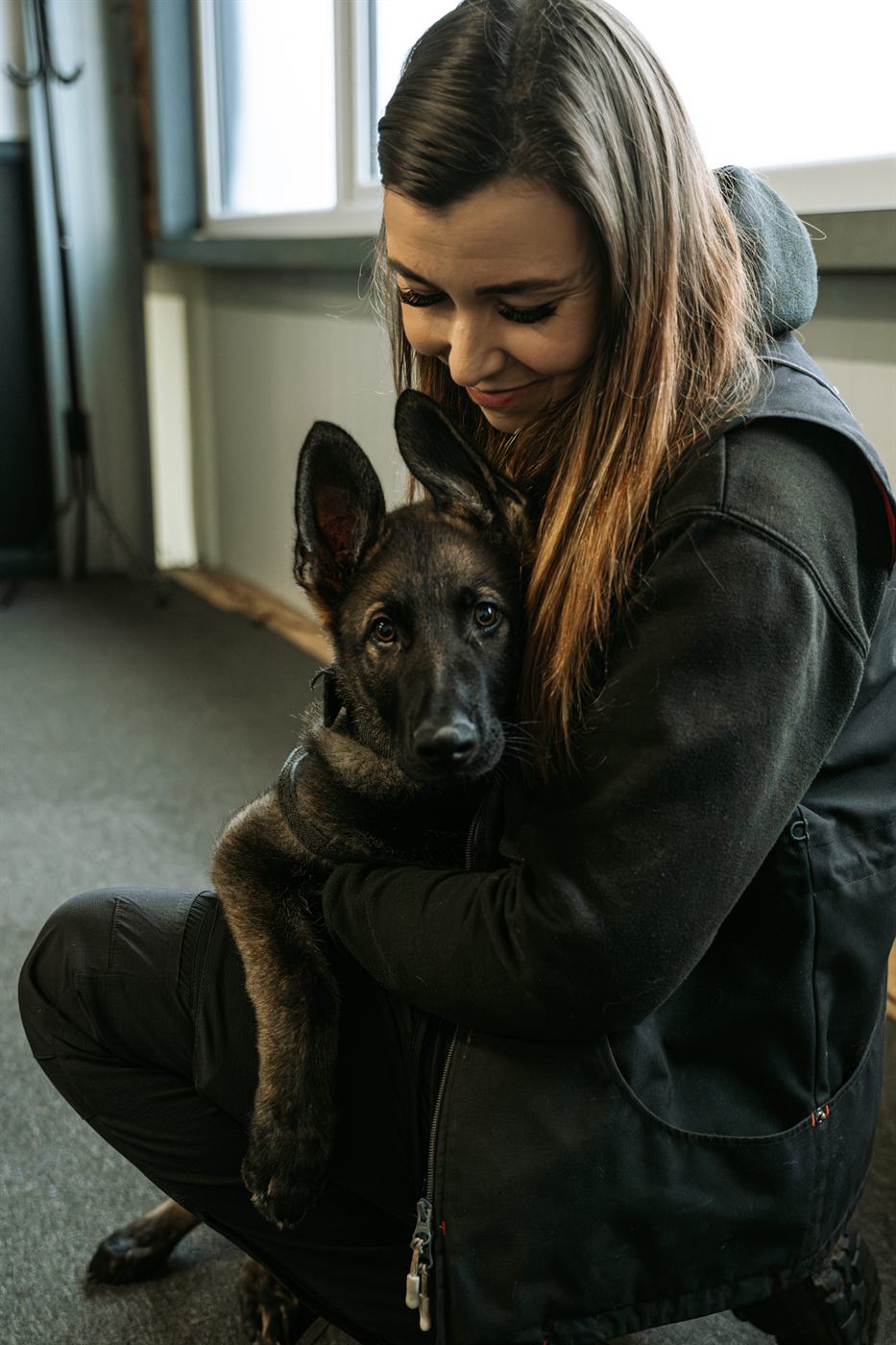 Pet dog training consultation with Rogue Wolves K9.