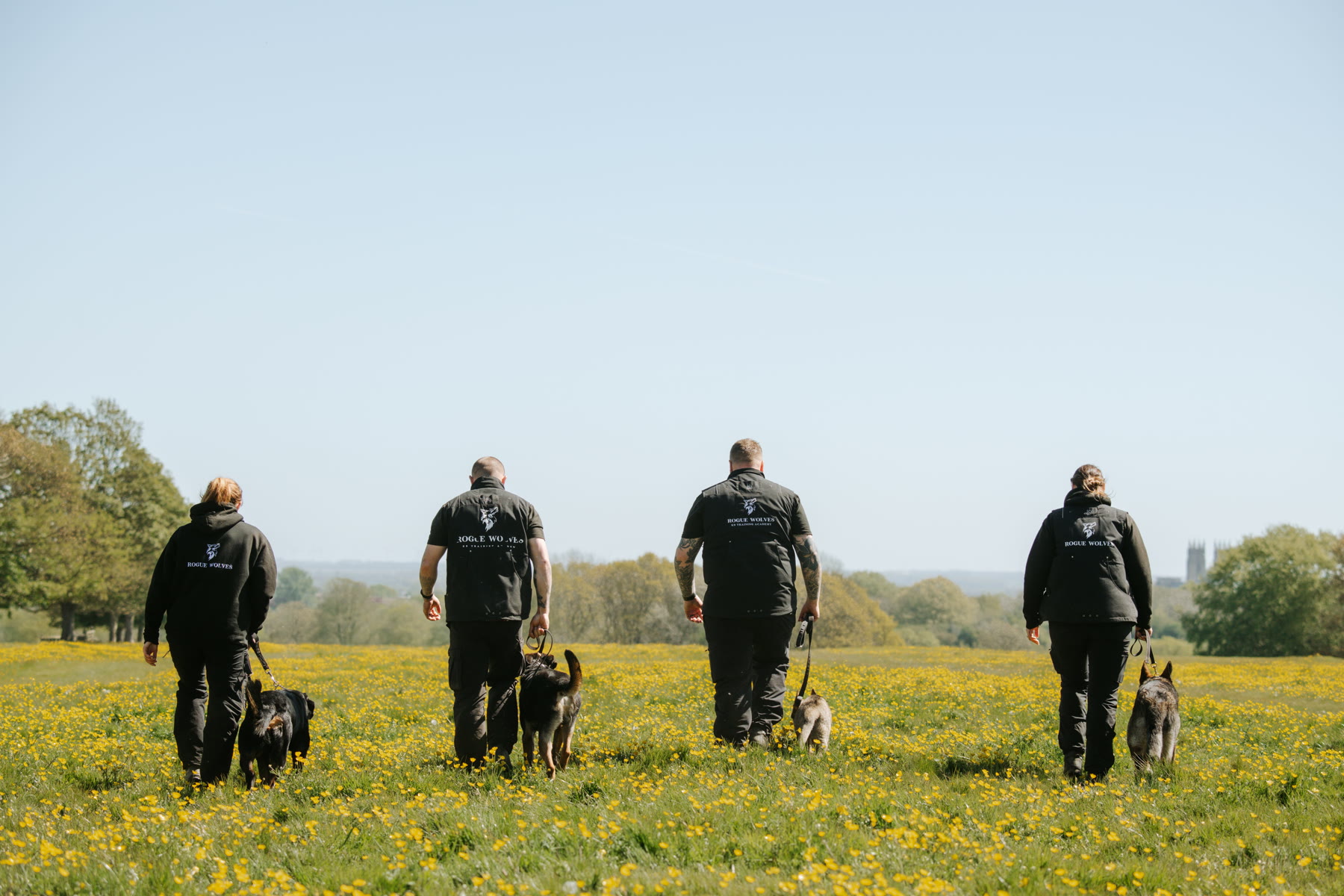 Residential dog training at Rogue Wolves K9.